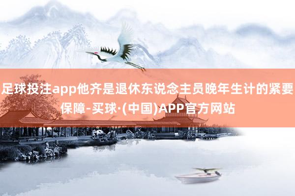 足球投注app他齐是退休东说念主员晚年生计的紧要保障-买球·(中国)APP官方网站