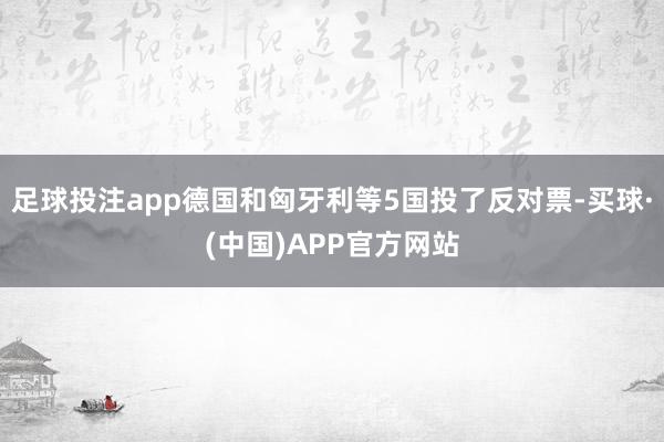 足球投注app德国和匈牙利等5国投了反对票-买球·(中国)APP官方网站