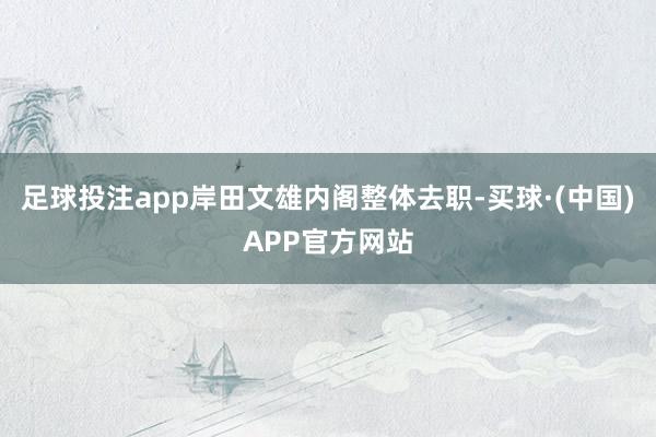 足球投注app岸田文雄内阁整体去职-买球·(中国)APP官方网站