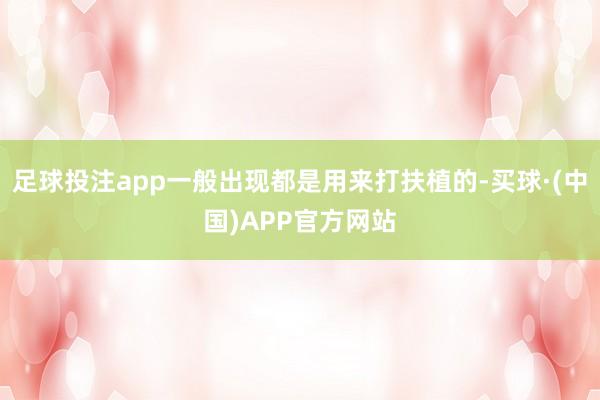 足球投注app一般出现都是用来打扶植的-买球·(中国)APP官方网站