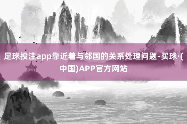 足球投注app靠近着与邻国的关系处理问题-买球·(中国)APP官方网站