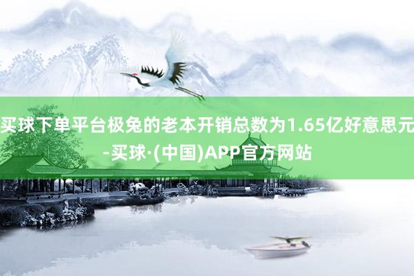 买球下单平台极兔的老本开销总数为1.65亿好意思元-买球·(中国)APP官方网站