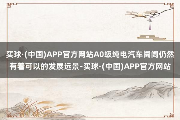 买球·(中国)APP官方网站A0级纯电汽车阛阓仍然有着可以的发展远景-买球·(中国)APP官方网站