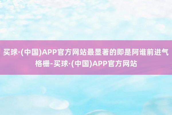 买球·(中国)APP官方网站最显著的即是阿谁前进气格栅-买球·(中国)APP官方网站