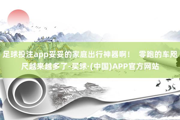 足球投注app妥妥的家庭出行神器啊！  零跑的车咫尺越来越多了-买球·(中国)APP官方网站