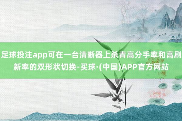 足球投注app可在一台清晰器上杀青高分手率和高刷新率的双形状切换-买球·(中国)APP官方网站