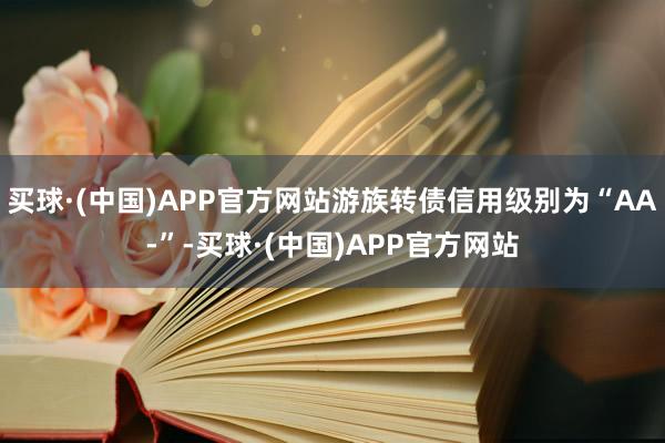 买球·(中国)APP官方网站游族转债信用级别为“AA-”-买球·(中国)APP官方网站