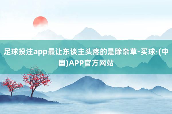 足球投注app最让东谈主头疼的是除杂草-买球·(中国)APP官方网站