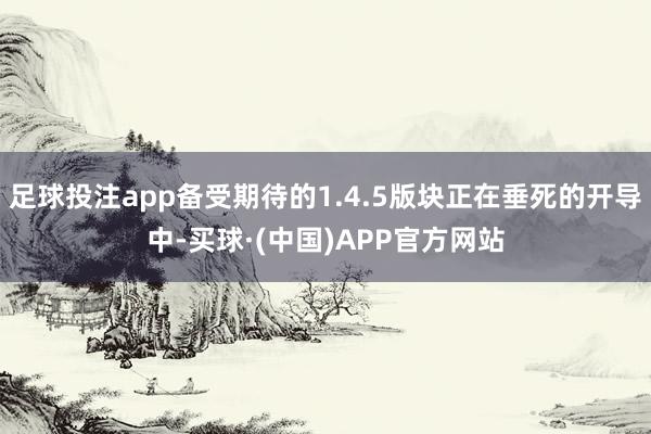 足球投注app备受期待的1.4.5版块正在垂死的开导中-买球·(中国)APP官方网站