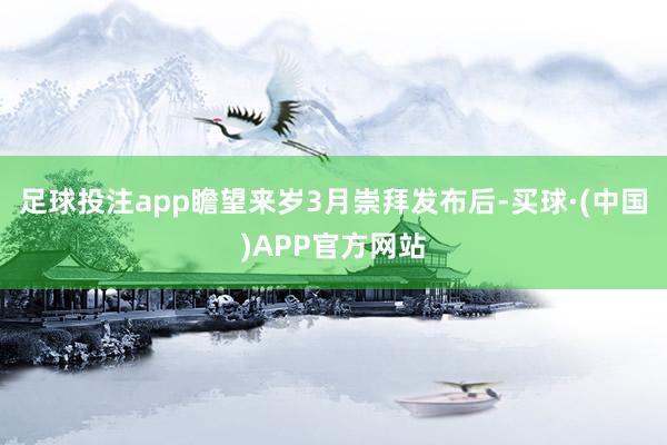 足球投注app瞻望来岁3月崇拜发布后-买球·(中国)APP官方网站