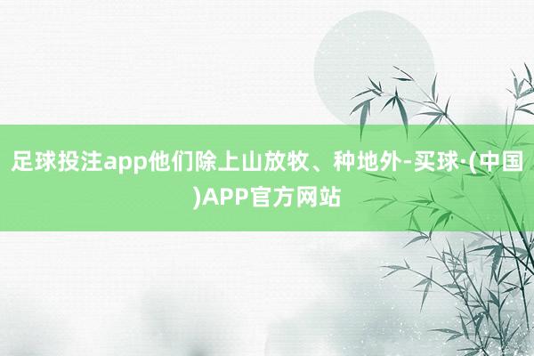 足球投注app他们除上山放牧、种地外-买球·(中国)APP官方网站