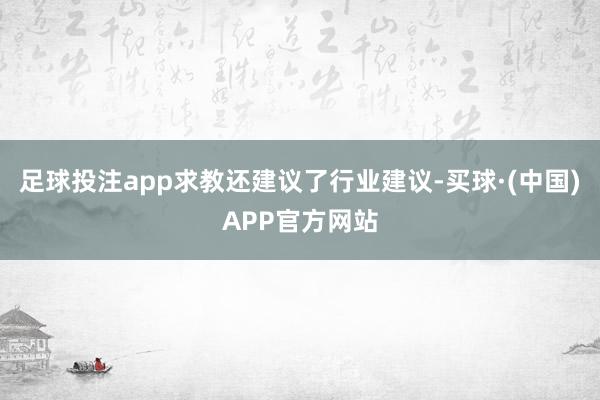 足球投注app求教还建议了行业建议-买球·(中国)APP官方网站