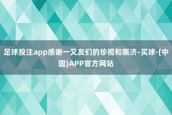 足球投注app感谢一又友们的珍视和赈济-买球·(中国)APP官方网站