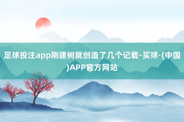 足球投注app刚建树就创造了几个记载-买球·(中国)APP官方网站