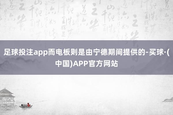 足球投注app而电板则是由宁德期间提供的-买球·(中国)APP官方网站