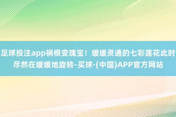 足球投注app祸根变瑰宝！缓缓灵通的七彩莲花此时尽然在缓缓地旋转-买球·(中国)APP官方网站