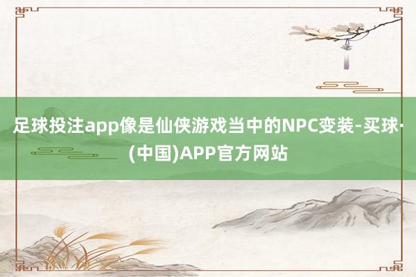 足球投注app像是仙侠游戏当中的NPC变装-买球·(中国)APP官方网站