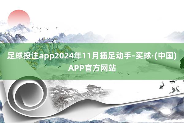 足球投注app2024年11月插足动手-买球·(中国)APP官方网站