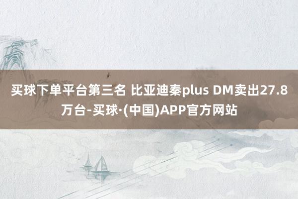 买球下单平台第三名 比亚迪秦plus DM卖出27.8万台-买球·(中国)APP官方网站