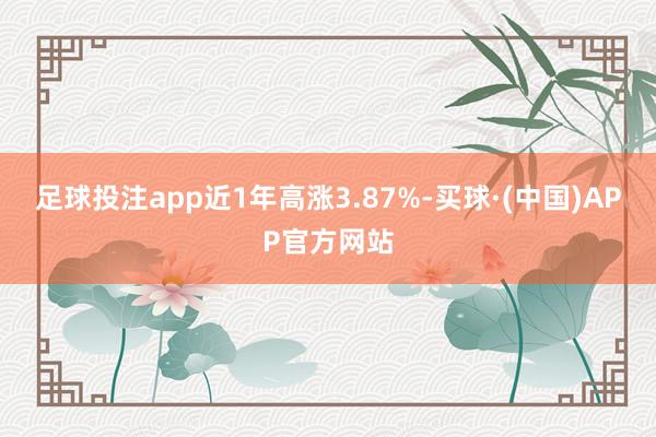 足球投注app近1年高涨3.87%-买球·(中国)APP官方网站