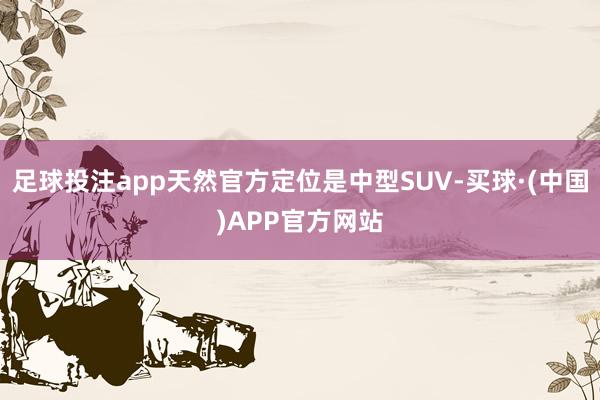 足球投注app天然官方定位是中型SUV-买球·(中国)APP官方网站