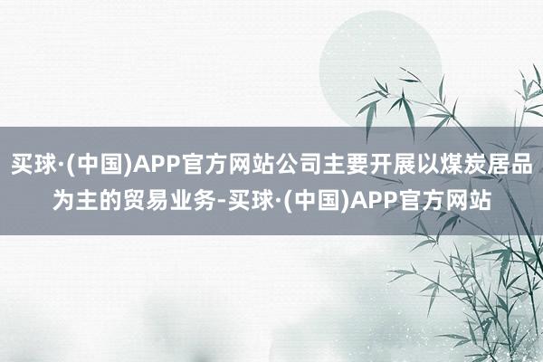 买球·(中国)APP官方网站公司主要开展以煤炭居品为主的贸易业务-买球·(中国)APP官方网站