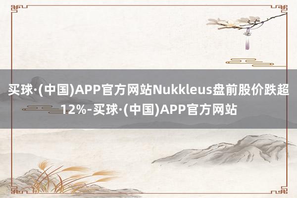 买球·(中国)APP官方网站Nukkleus盘前股价跌超12%-买球·(中国)APP官方网站