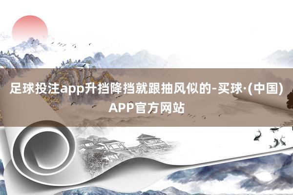 足球投注app升挡降挡就跟抽风似的-买球·(中国)APP官方网站