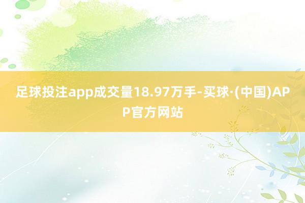 足球投注app成交量18.97万手-买球·(中国)APP官方网站