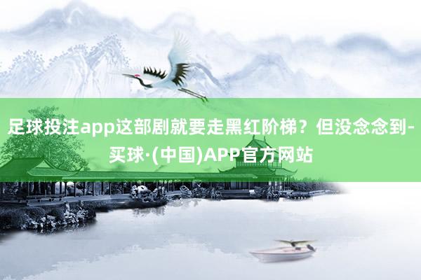 足球投注app这部剧就要走黑红阶梯？但没念念到-买球·(中国)APP官方网站