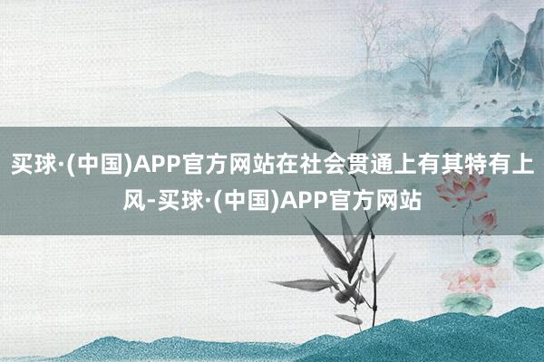 买球·(中国)APP官方网站在社会贯通上有其特有上风-买球·(中国)APP官方网站