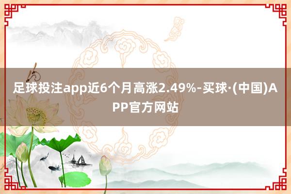 足球投注app近6个月高涨2.49%-买球·(中国)APP官方网站