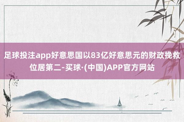 足球投注app好意思国以83亿好意思元的财政挽救位居第二-买球·(中国)APP官方网站