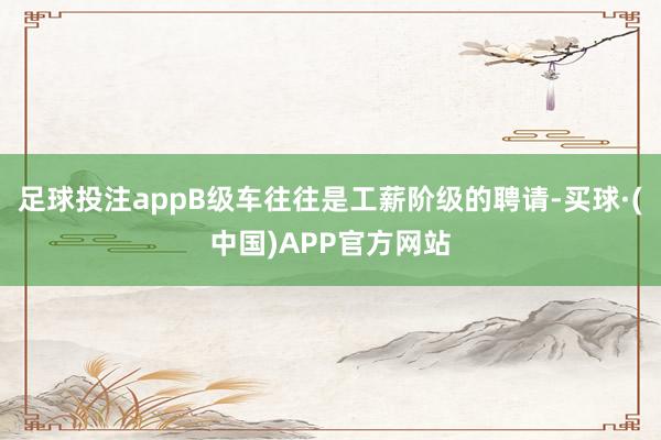 足球投注appB级车往往是工薪阶级的聘请-买球·(中国)APP官方网站