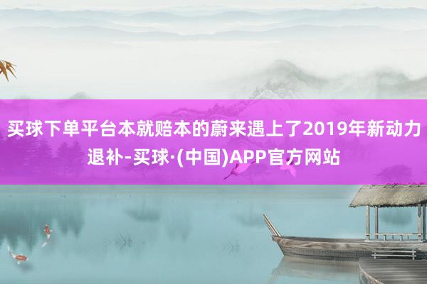 买球下单平台本就赔本的蔚来遇上了2019年新动力退补-买球·(中国)APP官方网站