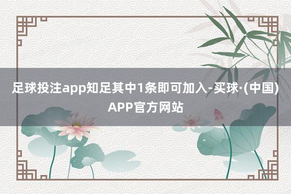 足球投注app知足其中1条即可加入-买球·(中国)APP官方网站