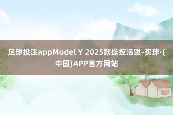 足球投注appModel Y 2025款操控活泼-买球·(中国)APP官方网站