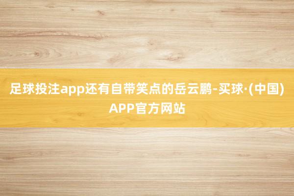 足球投注app还有自带笑点的岳云鹏-买球·(中国)APP官方网站