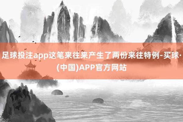 足球投注app这笔来往来产生了两份来往特例-买球·(中国)APP官方网站